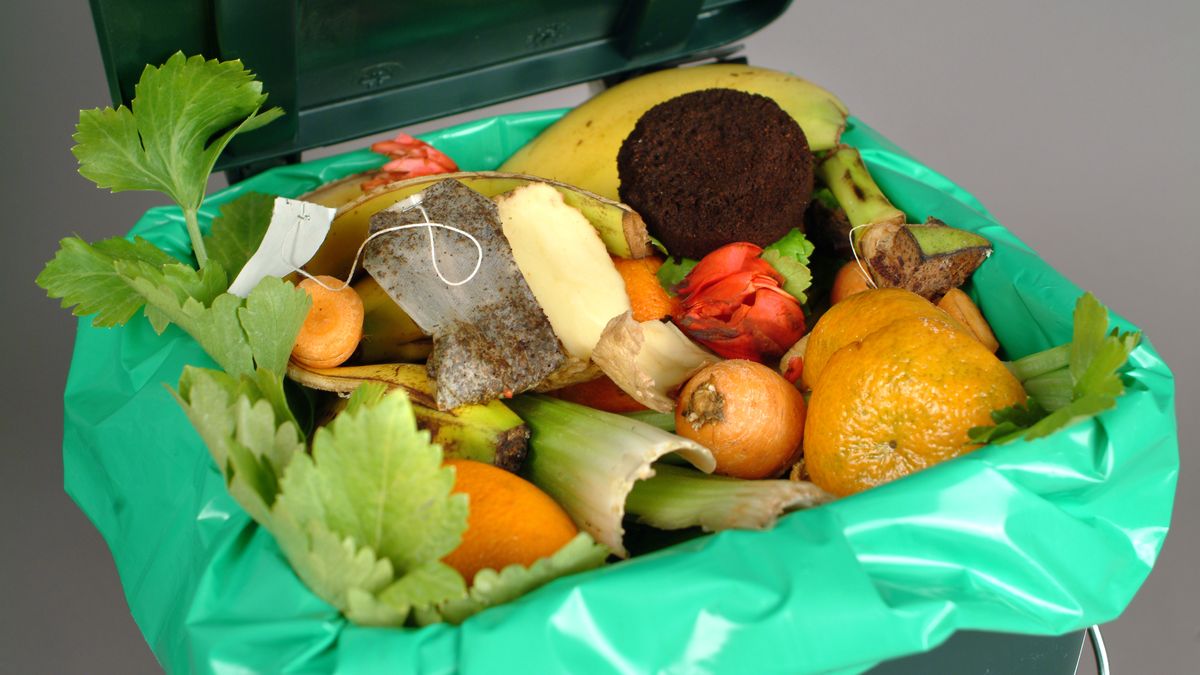 Vědci v Brně zkoumají, jak zlepšit třídění potravinového odpadu na sídlištích
